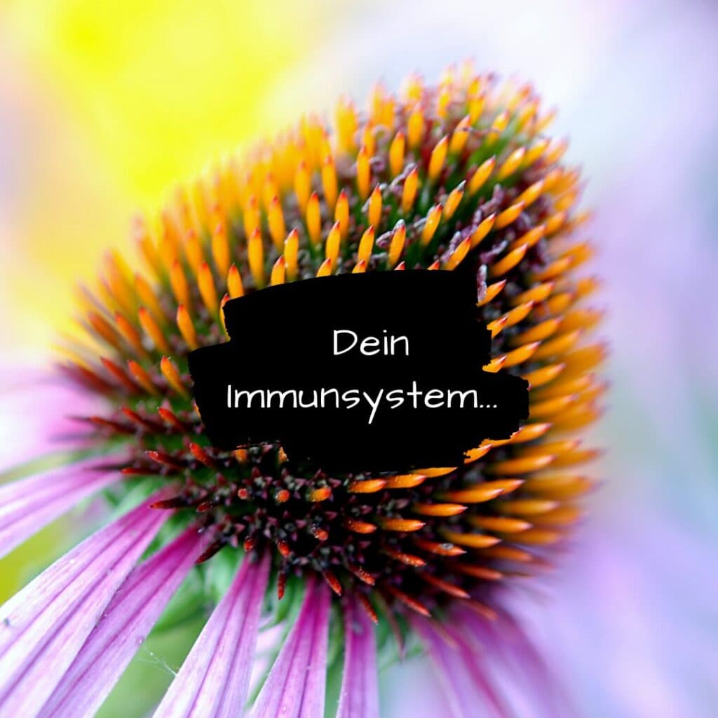 Dein Immunsystem…